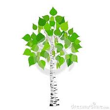 Birch tree with roots tattoo. For A Birch Tree Tattoo On Wrist Birch Trees Represent New Beginnings Rebirth Renewals Cleansings Pine Tree Tattoo Cartoon Tattoo Tree Cartoon