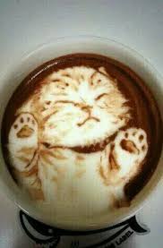 Micio Cappuccino Coffee Art Coffee Recipes Food