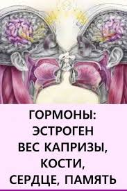 6 типов ожирения и как справиться с каждым из них Pin Na Doske Sovety Dlya Zdorovya