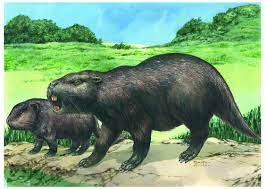 Extinct Giant Rodents Family Tree Rewritten By New Fossil Finds Giant Rodent Prehistoric Animals Extinct Animals