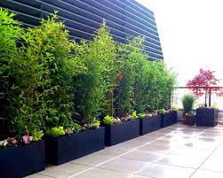 Having a garden bridge is necessary when your garden have a pond or even run through a small creek. 56 Ideas For Bamboo In The Garden Out Of Sight Or Decoration Interior Design Ideas Ofdesign