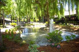 Gardens Freedom Hall And Gardens Bay Area Wedding Venues Bay Area Wedding Garden Wedding Venue