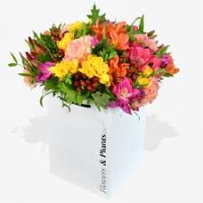 Perhaps, you are not sure what to say in your message. Thank You Flowers Delivered Rushes Flower Delivery