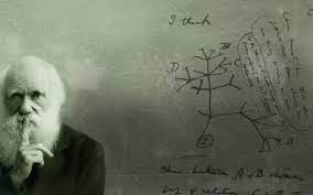 Mireia Querol On Twitter Nothing In Biology Makes Sense Except In The Light Of Evolution Theodosius Dobzhansky Https T Co Onkilx7elh Twitter