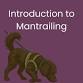 Introduction to Mantrailing — Paw and Order event image