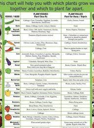 Pin By Sovokecapiher On Outdoor Companion Planting Chart Companion Planting Garden Preparation