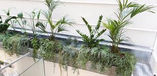 Te explicamos cómo decorar con plantas de interior y aprovechar sus beneficios para mejorar no solo el aspecto de tu casa, sino incluso su habitabilidad. Plantas Artificiales Decorativas Para Interiores 2020