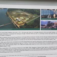 The lorong halus wetland is a functioning organic water treatment system, a test bed for new lorong halus is a somewhat remote road and area. Photos At Lorong Halus Wetland Pasir Ris 15 Tips From 1493 Visitors