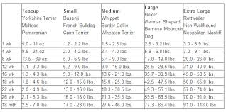 35 True Female American Bulldog Growth Chart