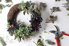 When autocomplete results are available use up and down arrows to review and enter to select. Diy A Succulent Wreath To Display All Year Gardenista