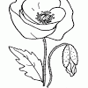 Welcome to our public page for the royal british legion invicta branch. 1