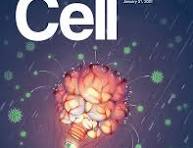 Best scientific journal covers from 2021