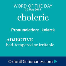 Words Logophile Image By Carol Heyer Weird Words Words Uncommon Words