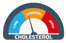 Why Should You Have Your Cholesterol Levels Tested Bhf