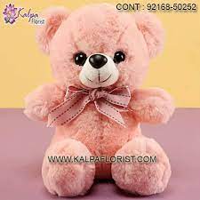 Mini Peach Coloured Teddy Bear Buy Soft Toys Near Me Teddy Bear Online Large Teddy Bear Teddy