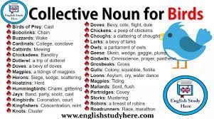 Pin On Collective Nouns