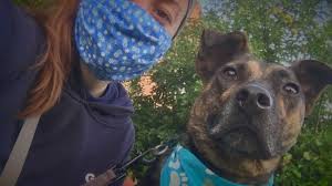 Akc ofa german shepherd pups 612.4 miles. Service Dogs Give Sexual Assault Survivors In Maine Second Chance Newscentermaine Com