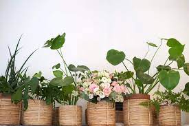 In addition to local flower delivery in zip code 83651, flowers by my michelle provides floral delivery services to the following nearby zip codes: Best Florists Flower Delivery In Nampa Id 2021