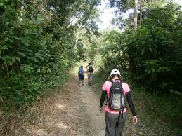 During this trip, trekkers will get to explore here you can relish your meals with tranquil andaman sea views. Hike Gunung Jerai Rexymizrah