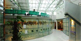 Elle possède, 172 lits d'hospitalisation conventionnelle, 38 postes de chirurgie et anesthésie ambulatoire. Clinique Ambroise Pare Kinesitherapeute Toulouse 31000 Adresse Horaire Et Avis