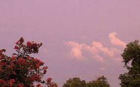 Love Indie Aesthetic Sky Grunge Flowers Nature Tumblr Https We Desktop Wallpaper Art Laptop Wallpaper Desktop Wallpapers Aesthetic Desktop Wallpaper