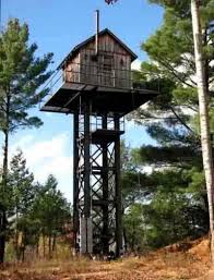 Elevated Hunting Blinds Is A In 2020 Hunting Shack Hunting Stands Deer Hunting Stands