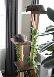 Cats are natural climbers, and will happily crawl all over tall structures. Cat Lovers Learn How To Make A Diy Cat Tree Using Real Branches