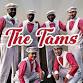 The Tams in Alma, GA event image