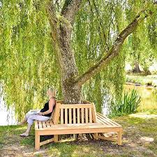 Maybe you would like to learn more about one of these? Alexander Rose Roble Tree Seat Amazon Co Uk Garden Outdoors Backyard Landscaping Designs Tree Seat Outdoor Garden Bench