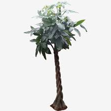 Here you can explore hq pohon transparent illustrations, icons and clipart with filter setting like size, type, color etc. Pin On Indonesian Tree Pohon Indonesia Png Tree