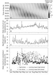 Environmental Conditions For Bodega Bay California In 2004