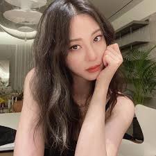 유튜버·악플러 고소한 한예슬, 경찰서 고소인 조사받아