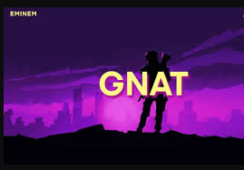 Gnat Eminem Testo Con Traduzione In Italiano