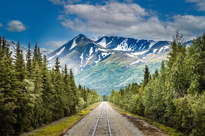 Denali National Park: Best things to see and do