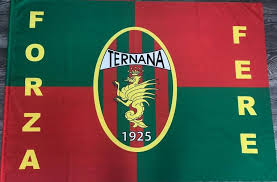 ❤️💚 Bandiera Celebrativa Noi Siamo La Ternana + Bandiera Ternana Forza  Fere💚❤️ 💚❤️ Misura 100 X 150 con asta ❤️💚 💚❤️ Prezzo € 20,00 cad. ❤️💚  ❤️💚Macron Store Terni 💚❤️