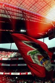Bandeiras E Tarjas Com O Simbolo Do Benfica Benfica Wallpaper Sport Lisboa E Benfica Desportos