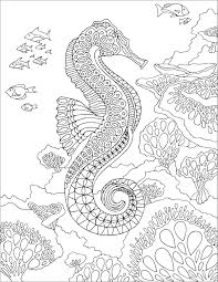 See more ideas about lost ocean coloring book, lost ocean, johanna basford lost ocean. Zentangle Seahorse Coloring Page For Adult Coloringbay