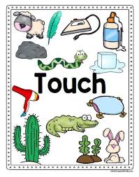 Bilingual English And Spanish Five Senses Posters Perfect For Your Preschool Kindergarten Or Firs Senses Preschool Five Senses Preschool Bilingual English