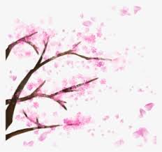 Rinse the sakura (cherry blossom) seeds gently in a sieve. Cherry Blossom Png Images Png Cliparts Free Download On Seekpng