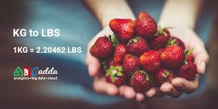 Kitchen scale 20kg converted into lbs to kilos. 20 Kg To Lbs Best Way To Convert 20 Kilos In Pounds Abcadda Com