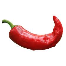 Kon clearly let go of restraint from the deranged. Paprika Rot Spitz Bio 180g Vekoop De