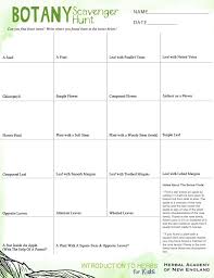 Introduction To Herbs For Kids Meet My Friend Herb Part 2 Herbal Education Botany Homeschool Science