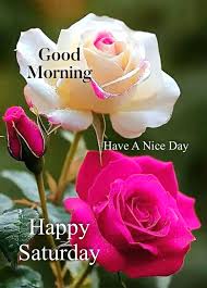 Saturday Blessings .... happy Saturday ߌ Enjoy your weekend İߎɰߦ˰ߎɰߌ