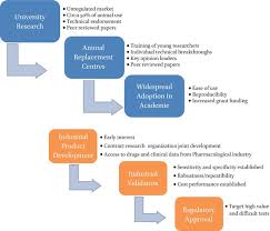 Animal cell culture types ppt. Chapter 26 The Potential Of Organ On Chip Technology For Replacing Animal Testing In Animal Experimentation Working Towards A Paradigm Change