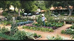 Pin On Veggie Gardens
