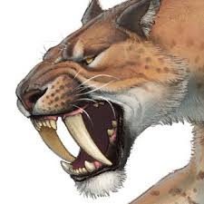 Artstation Fred Wierum Prehistoric Animals Smilodon Extinct Animals