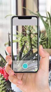 Identify Any Plant In One Snap Video Plant Identification App Plant Identification Plant App