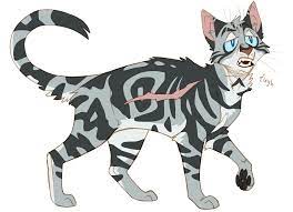 pin on warrior cats