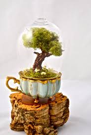 Tree Terrarium Beautiful Real Moss Terrarium Hand Sculpted Miniature Tree Handmade By Uniqueleeart On Ets Beautiful Terrariums Moss Terrarium Miniature Trees