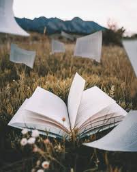 Tumblr P975vxwzq51w2h6xgo1 1280 Jpg 1080 1350 Book Aesthetic Book Wallpaper Aesthetic Wallpapers